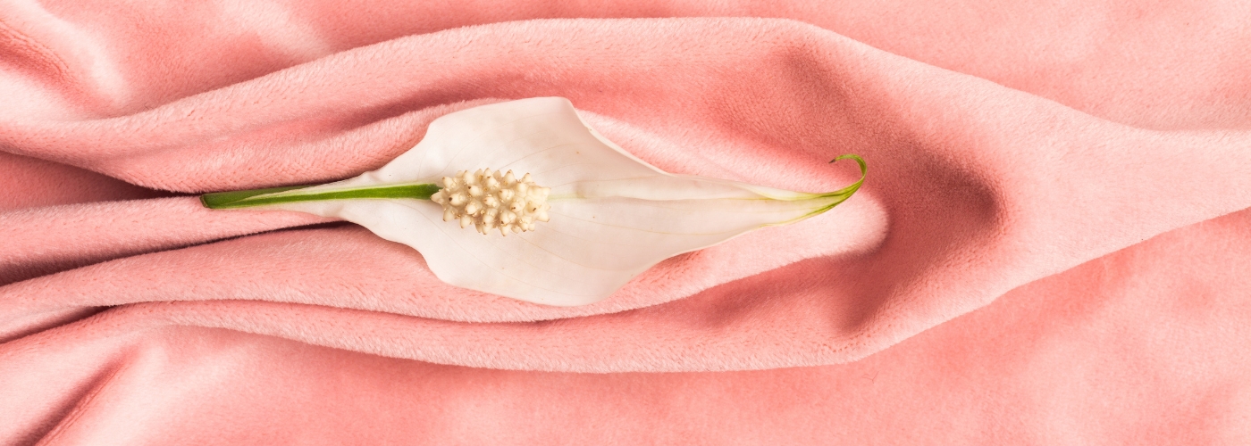 The Labia: Anatomy, Culture, and Aesthetics